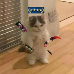 ! Pemur